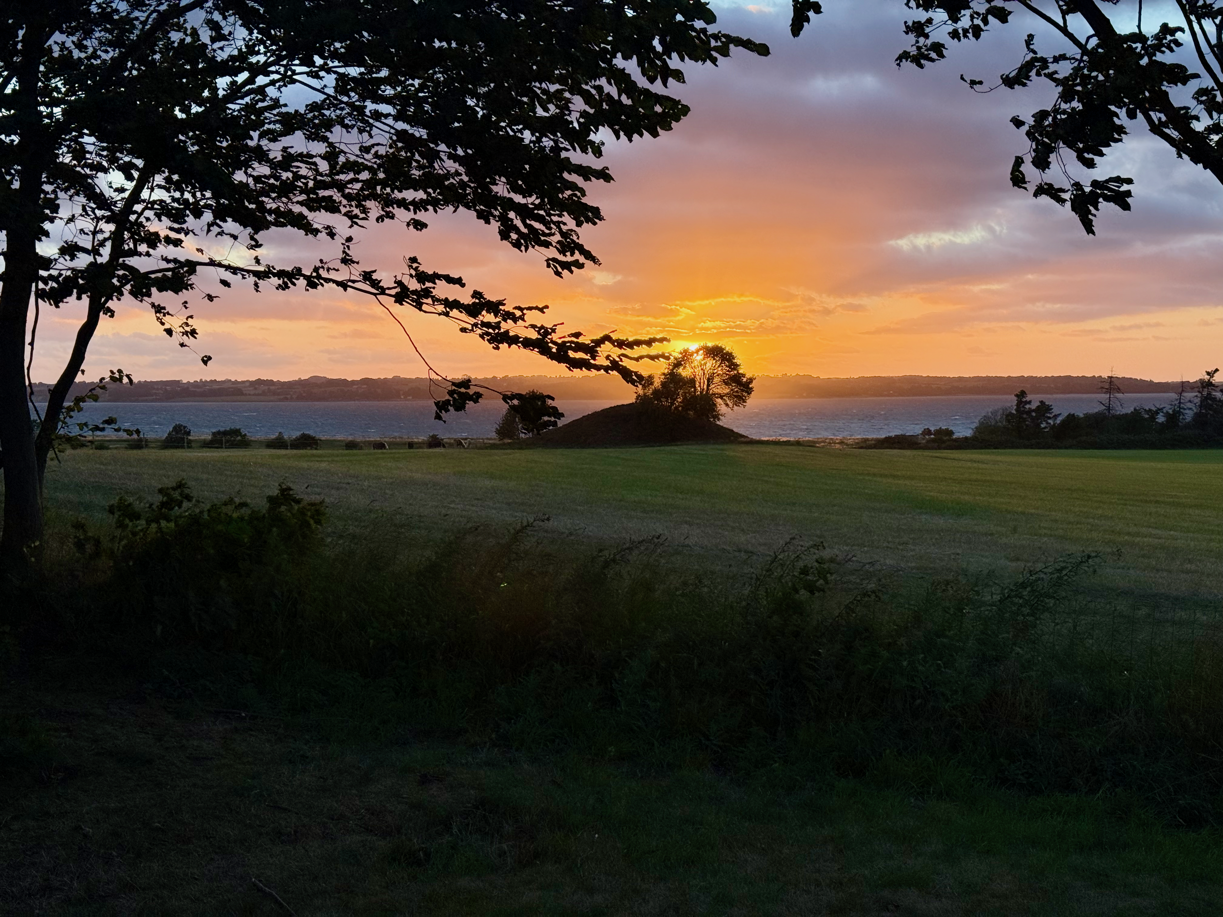 Hesteh&oslash;j by night